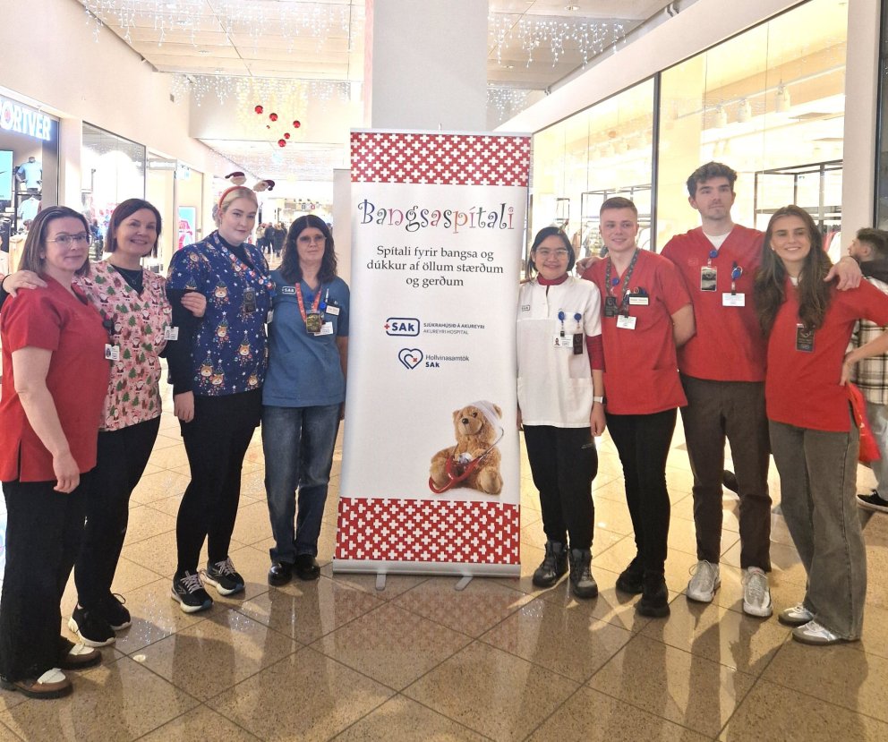 Dagur sjúkrahússins